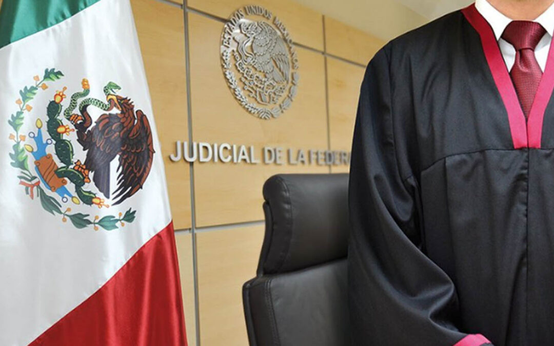 Defensa del Honor Judicial: Un Caso de Amparo Revelador